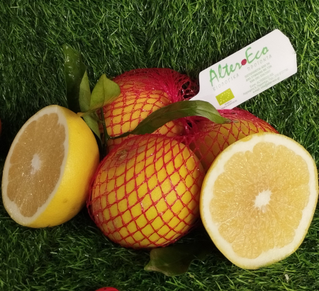 ΓΚΡΕΙΠ ΦΡΟΥΤ