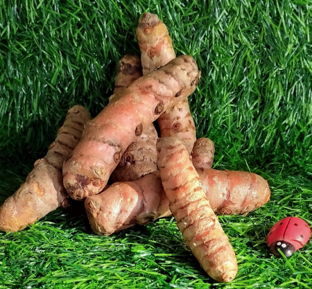 ΚΟΥΡΚΟΥΜΑΣ