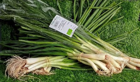 ΚΡΕΜΜΥΔΑΚΙ