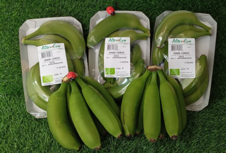 ΜΠΑΝΑΝΑ ΕΛΛΗΝΙΚΗ ΒΙΟΛΟΓΙΚΗ