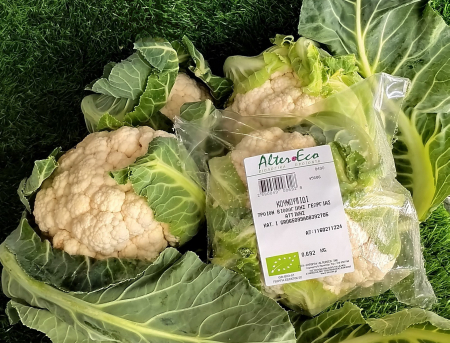 ΚΟΥΝΟΥΠΙΔΙ 