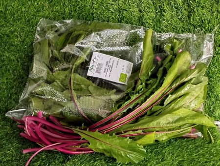 ΡΑΔΙΚΙ ΙΤΑΛΙΚΟ