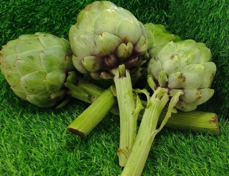 ΑΓΚΙΝΑΡΑ ΒΙΟΛΟΓΙΚΗ