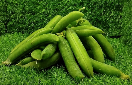 ΑΡΑΚΑΣ ΒΙΟΛΟΓΙΚΟΣ