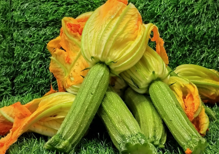 ΚΟΛΟΚΥΘΑΚΙ ΒΙΟΛΟΓΙΚΟ