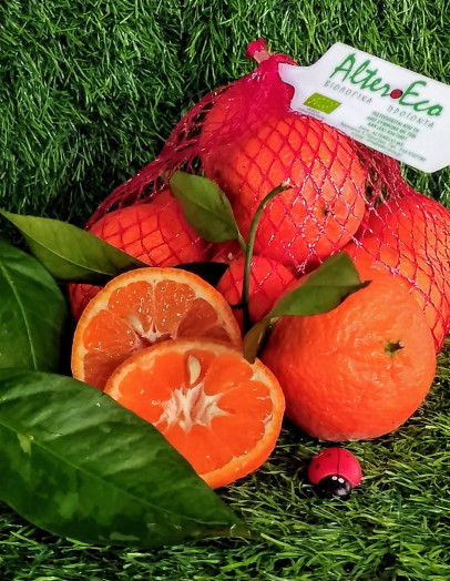 Τι Είναι τα Βιολογικά Προϊόντα;